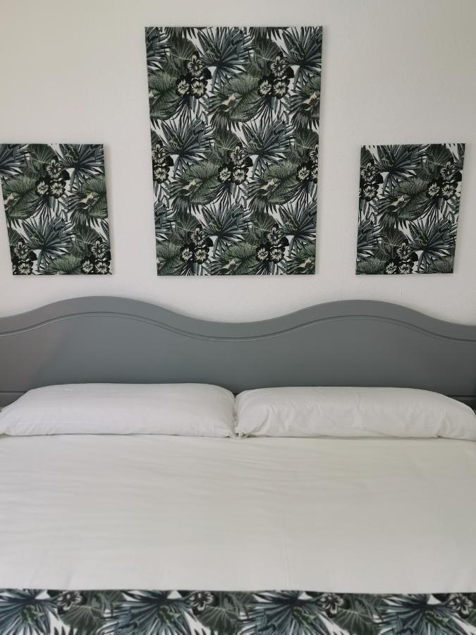 Oasis San Antonio